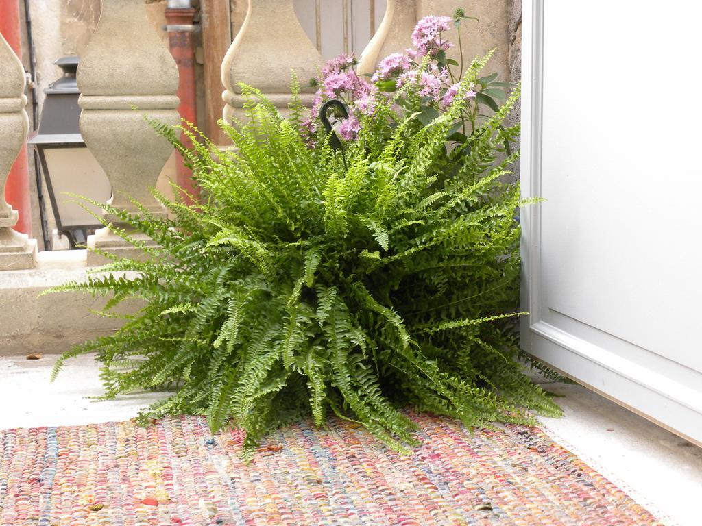 La Terrasse Du Marche Aux Fleurs Apartment Montpellier Luaran gambar