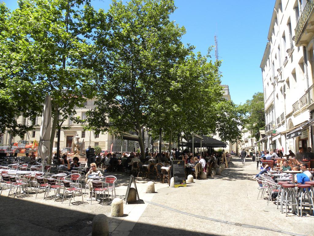 La Terrasse Du Marche Aux Fleurs Apartment Montpellier Luaran gambar