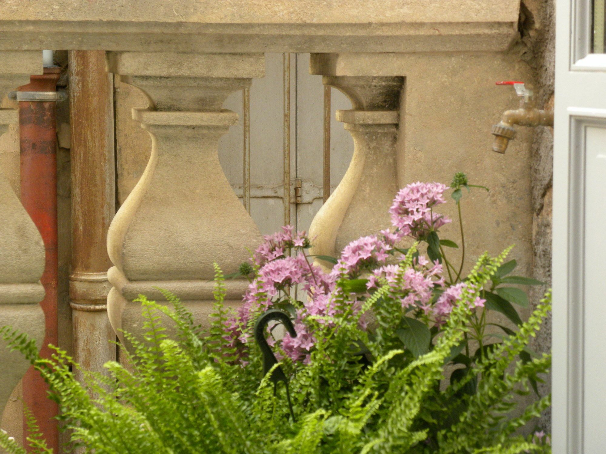 La Terrasse Du Marche Aux Fleurs Apartment Montpellier Luaran gambar